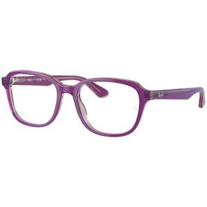 Ray-Ban Junior RY1627 3944 - L (48)