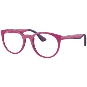 Ray-Ban Junior RY1628 3933 - L (48)