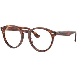 Ray-Ban Larry RX7680V 2144 - M (49)