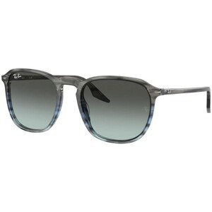 Ray-Ban RB2203 1391GK - M (52)