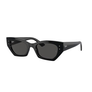 Ray-Ban RB4430 667787 - L (52)