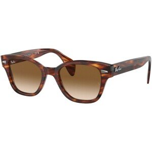 Ray-Ban RB0880S 954/51 - L (52)