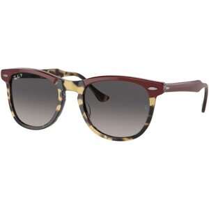 Ray-Ban Eagleeye RB2398 1377M3 - M (53)