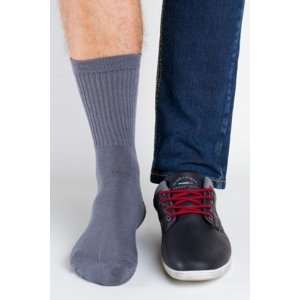 Regina Socks Polofroté Bambus Pánské ponožky 39-42 šedá