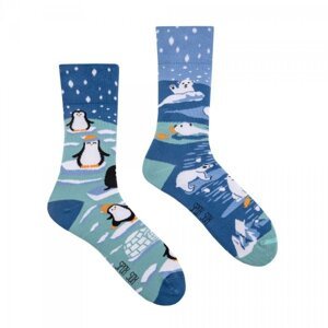 Spox Sox Penguins and Polar Bears Ponožky 44-46 vícebarevná