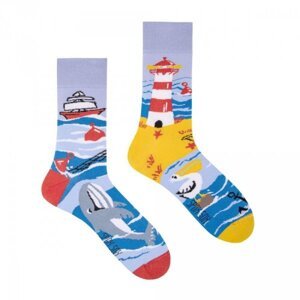 Spox Sox Sea cost Ponožky 40-43 vícebarevná