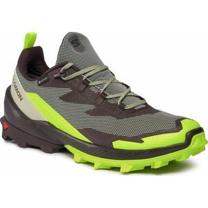 Trekingová obuv Salomon Cross Over 2 GORE-TEX L47268600 Desert Sage/Green Gecko/Chocolate Plum