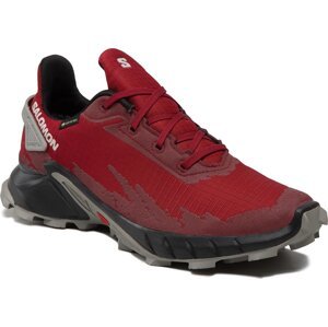 Boty Salomon Alphacross 4 Gtx GORE-TEX 417228 26 V0 Biking Red/Black/Frost Gray