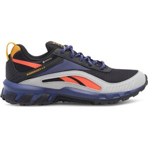 Boty Reebok Ridgerider 6 Gtx GX2247 Barevná